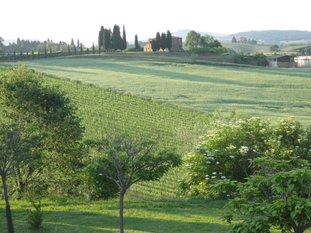 טוריטה די סיינה Agriturismo Santa Maria מראה חיצוני תמונה