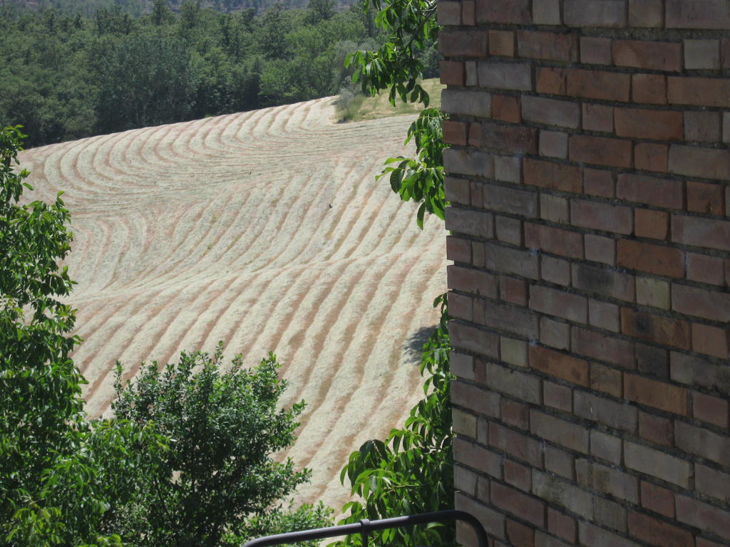 טוריטה די סיינה Agriturismo Santa Maria מראה חיצוני תמונה
