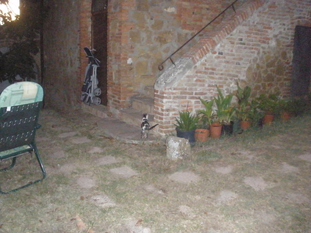 טוריטה די סיינה Agriturismo Santa Maria מראה חיצוני תמונה