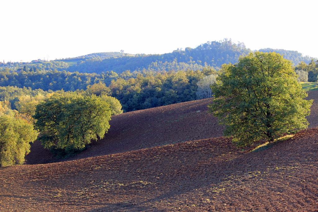 טוריטה די סיינה Agriturismo Santa Maria מראה חיצוני תמונה