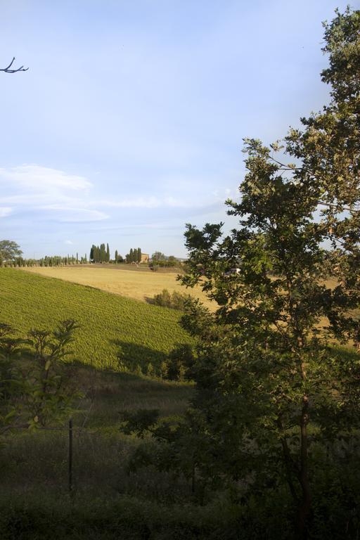 טוריטה די סיינה Agriturismo Santa Maria מראה חיצוני תמונה